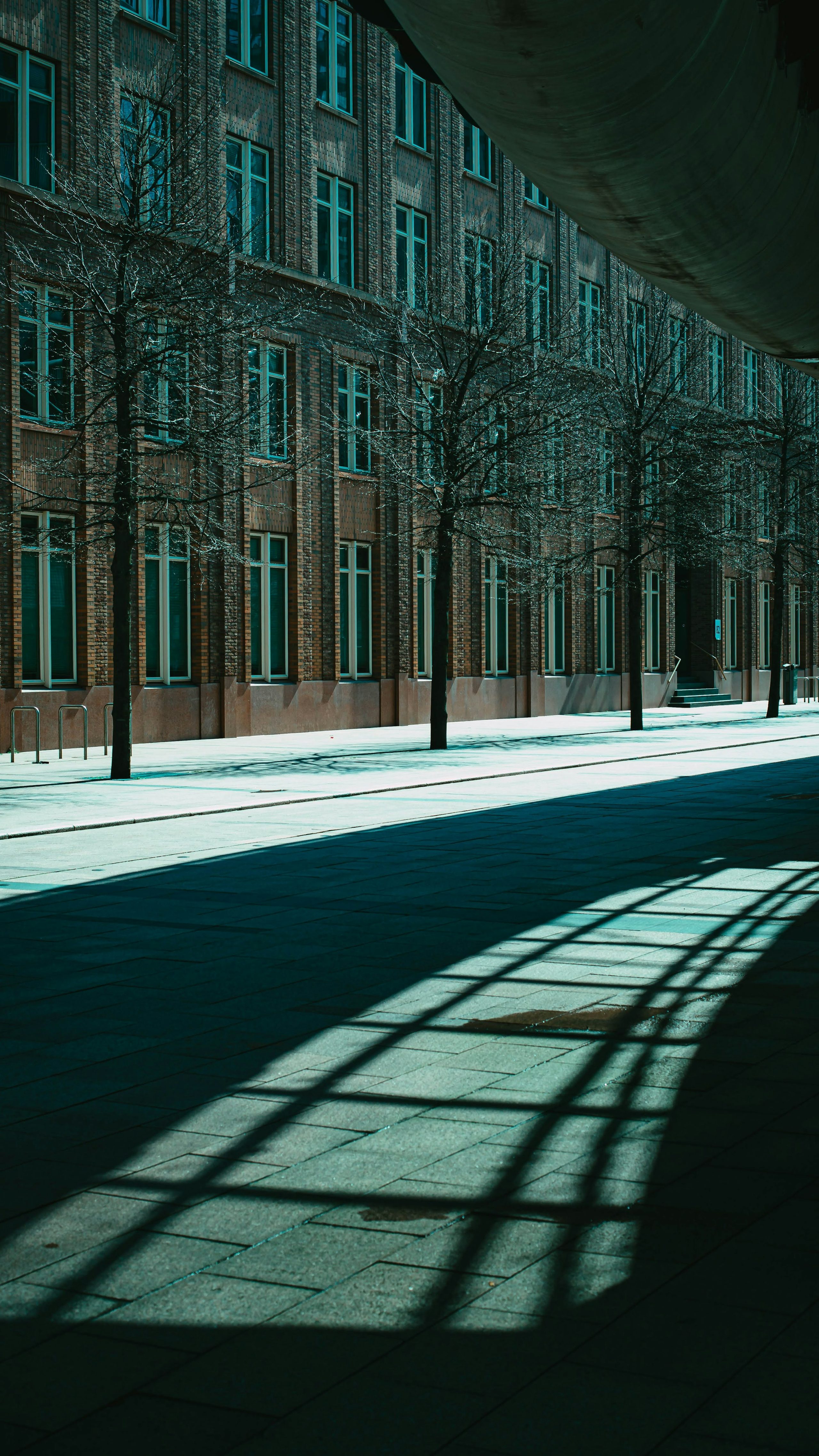Bare trees and a brick building crossed by a broad geometric shadow.