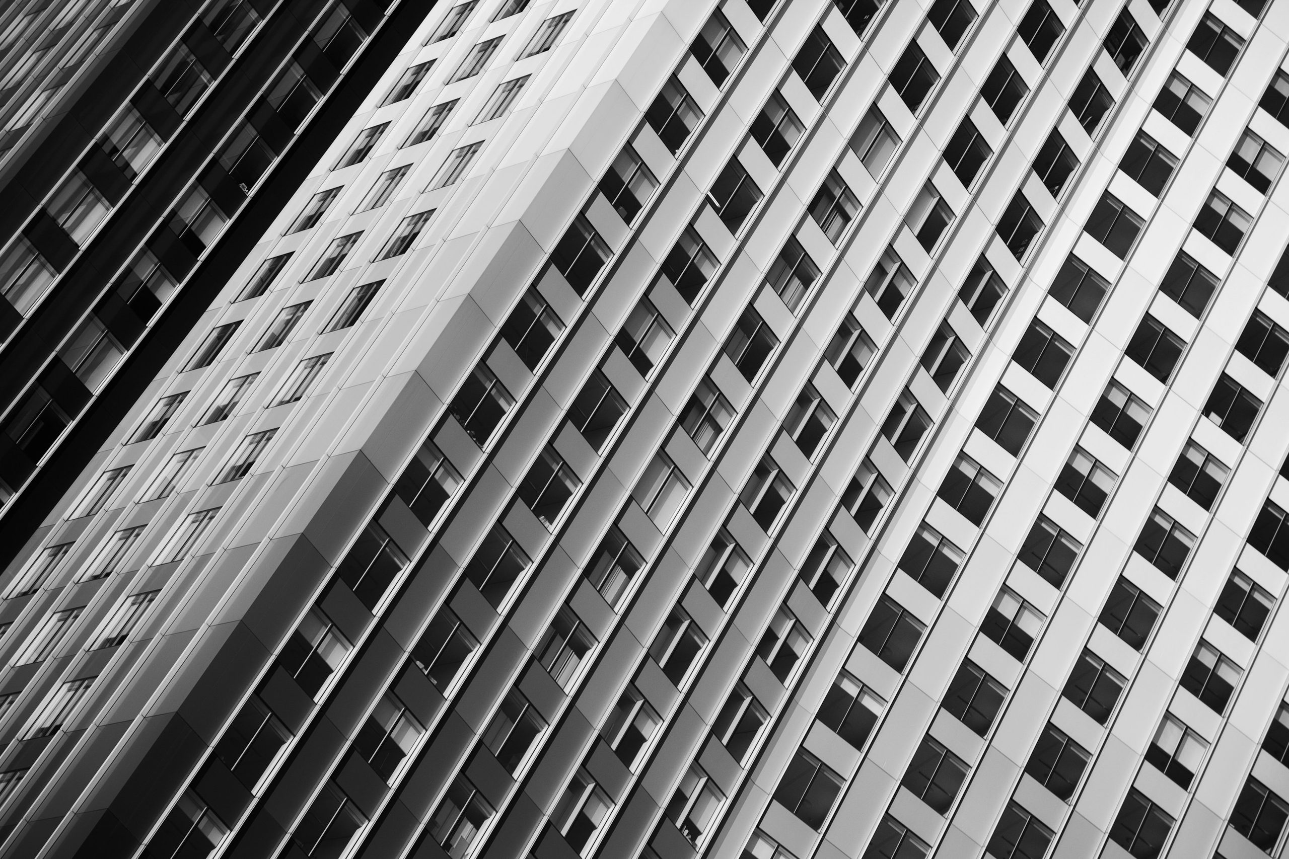 Repeating windows recede across a white concrete facade.