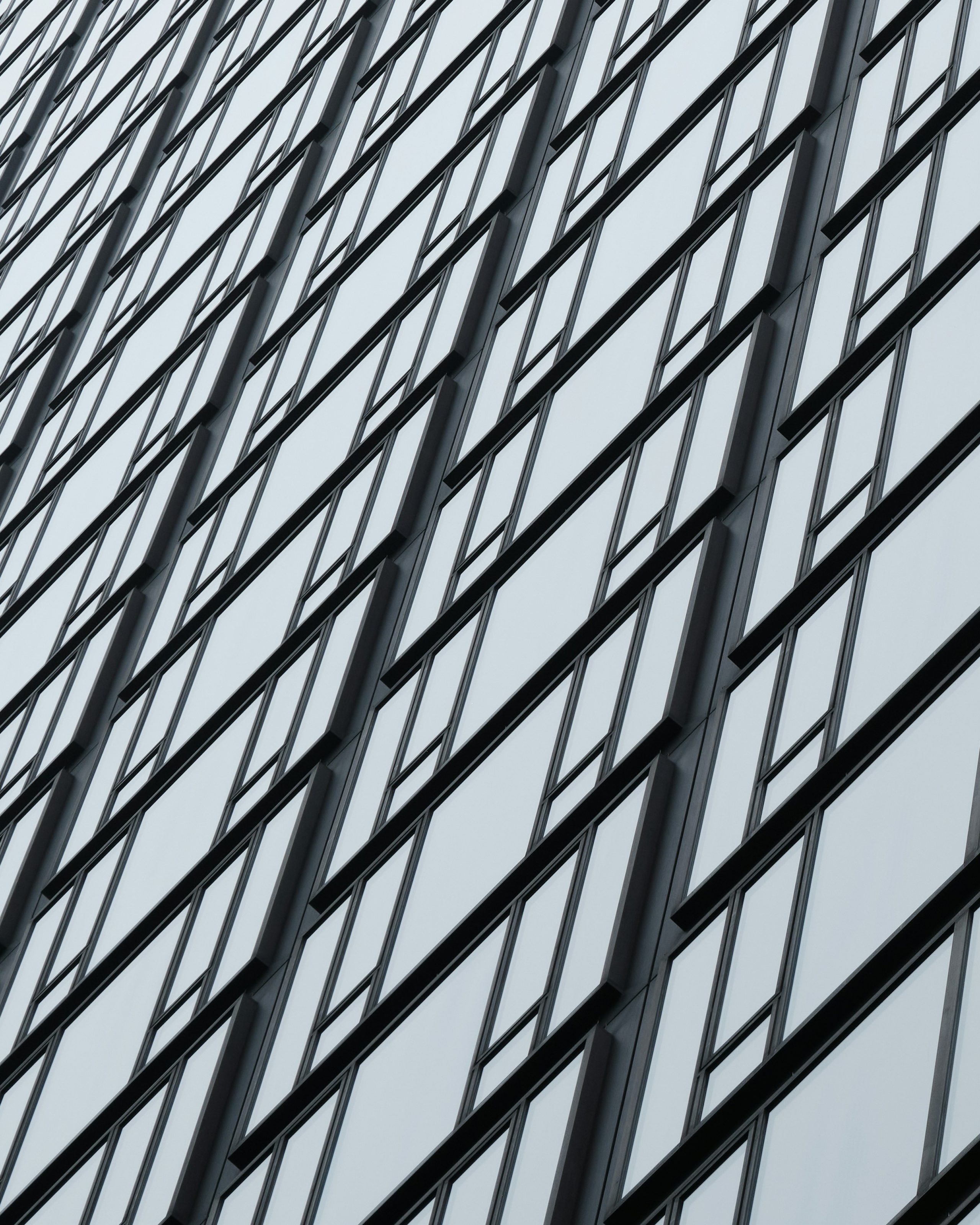 A tall window grid fills the frame in cool gray tones.